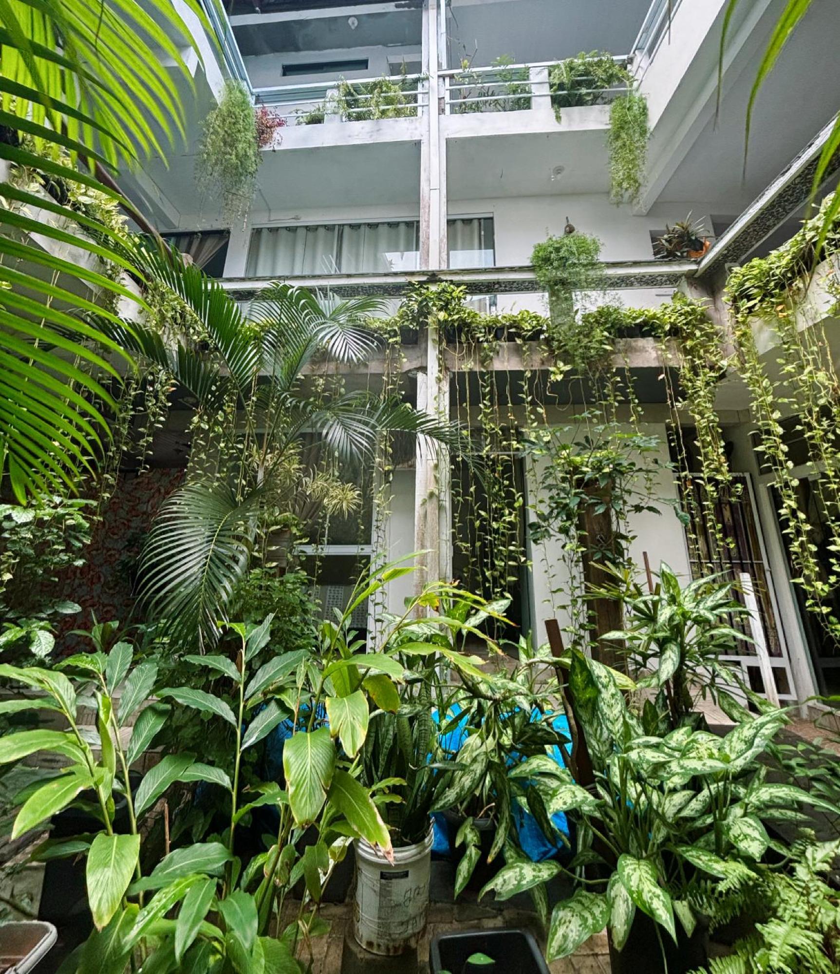 Pousada Ice Club 莫罗圣保罗 外观 照片